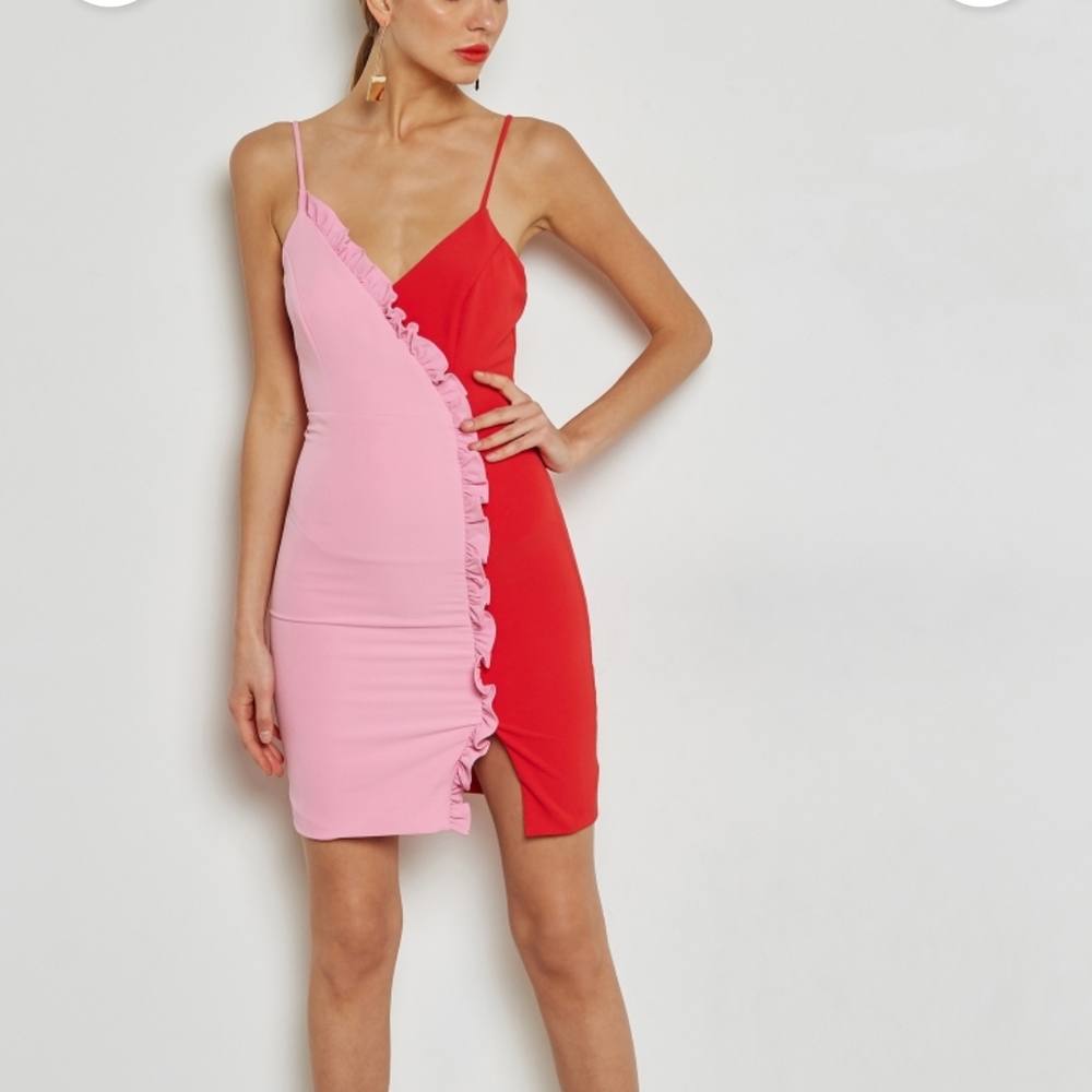 NWT Bardot colorblock dress